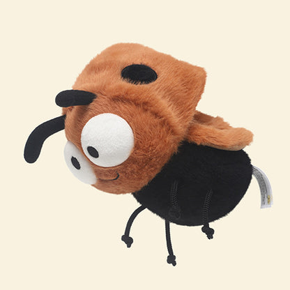 Lucky Bug